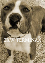 TERMINAX